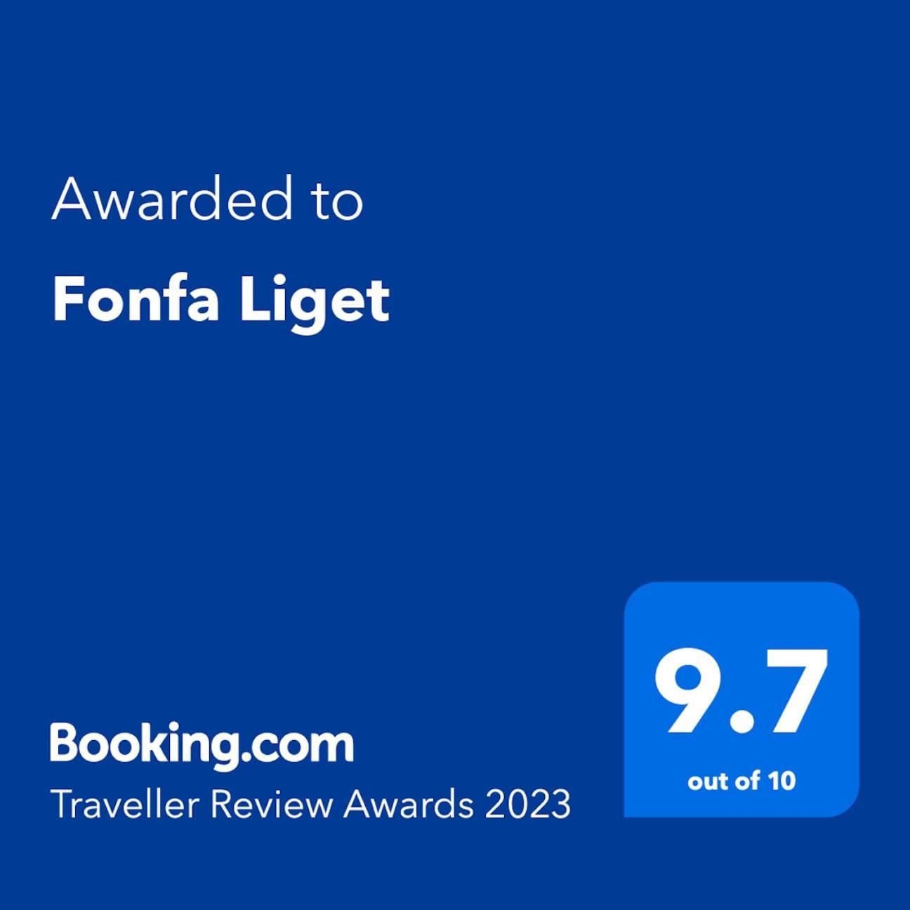 Fonfa Liget Hotel Senye Bagian luar foto
