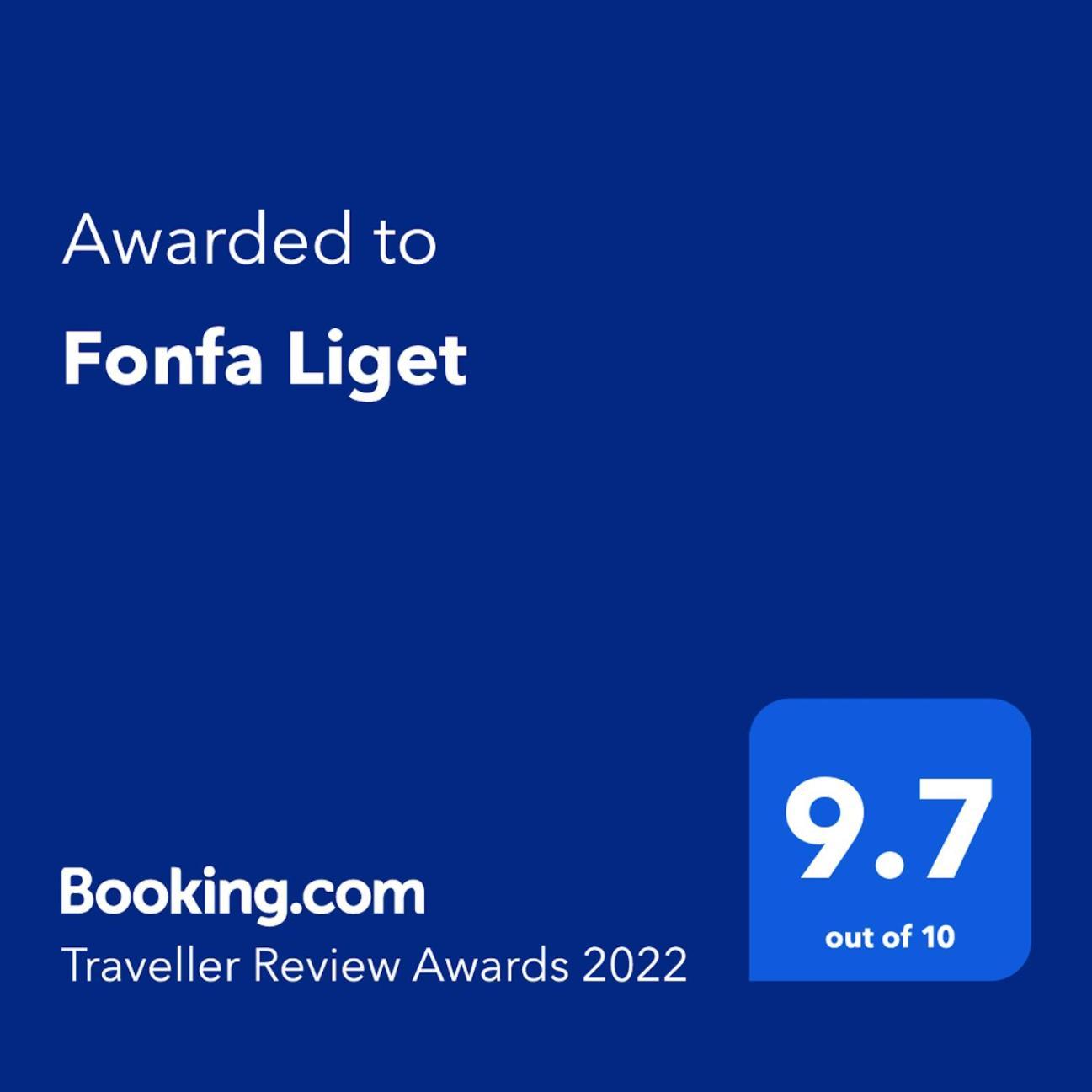 Fonfa Liget Hotel Senye Bagian luar foto