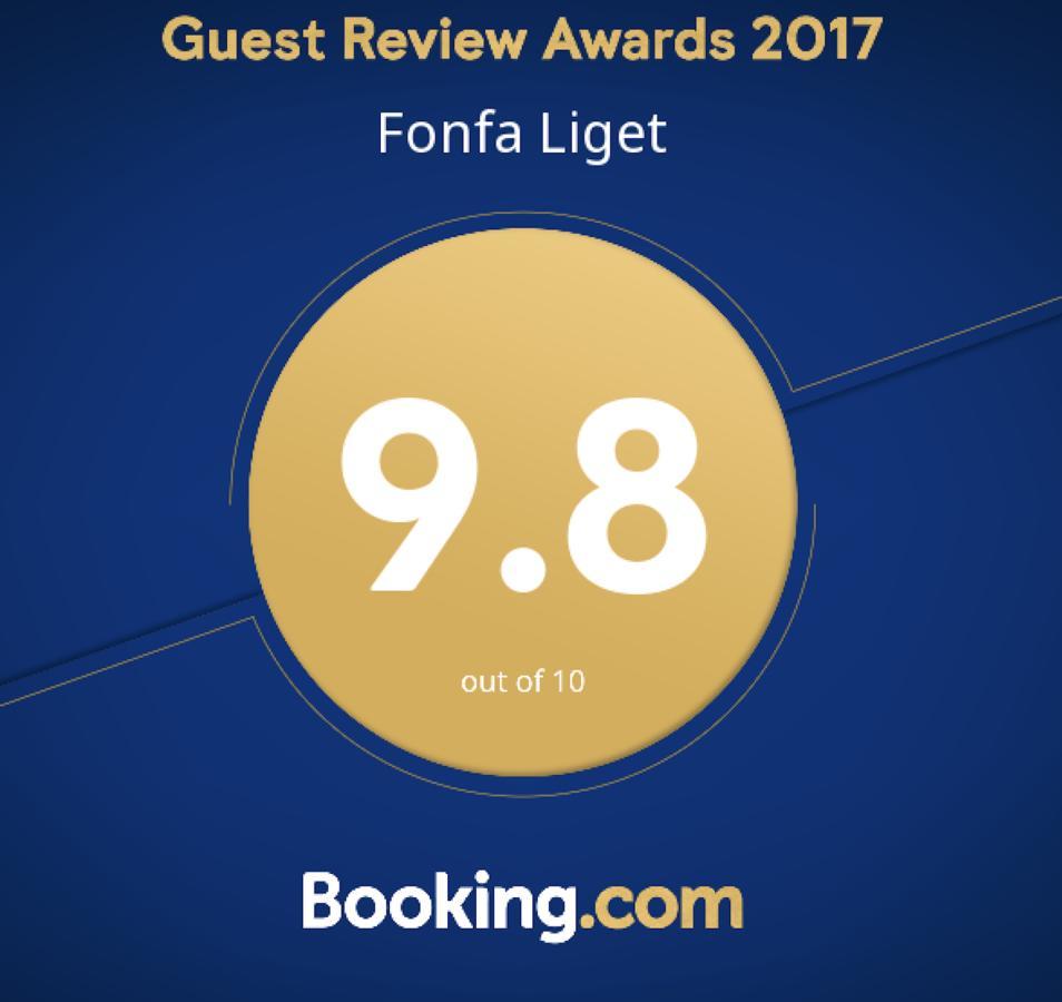 Fonfa Liget Hotel Senye Bagian luar foto
